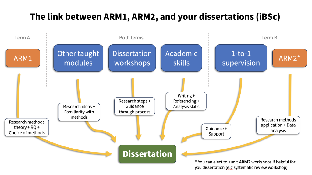 Diagram of in-puts for iBSc diss